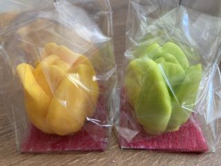 Afbeelding: 2021-06/gastcolleges/img-2209.jpg