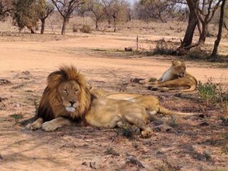 Afbeelding: 2023-09/zdjecie-whatsapp-2023-09-07-o-15.29.52-26dd48b2.jpg